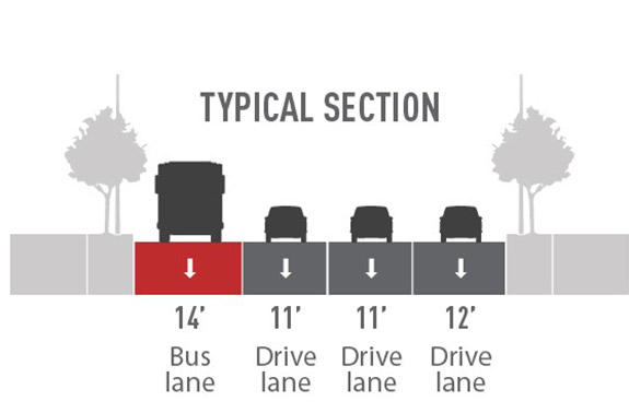 Proposed street layout with images of a gray sidewalk with trees, a blue 14’ bus lane with a gray bus, a gray 11’ drive lane and car, 11’ gray drive lane and car, 12’ gray drive lane and car, and gray sidewalk with trees.